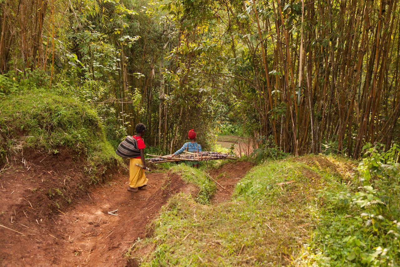 Dorze Lodge Arba Minch Ngoại thất bức ảnh